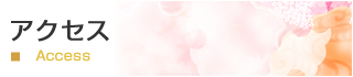 アクセス