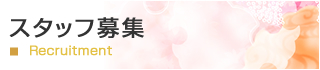 スタッフ募集
